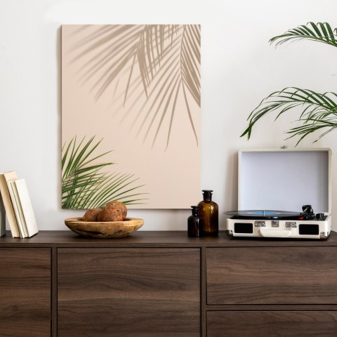 Plakat Letnie Naturalne Zielone Liście Palmowe I Cienie