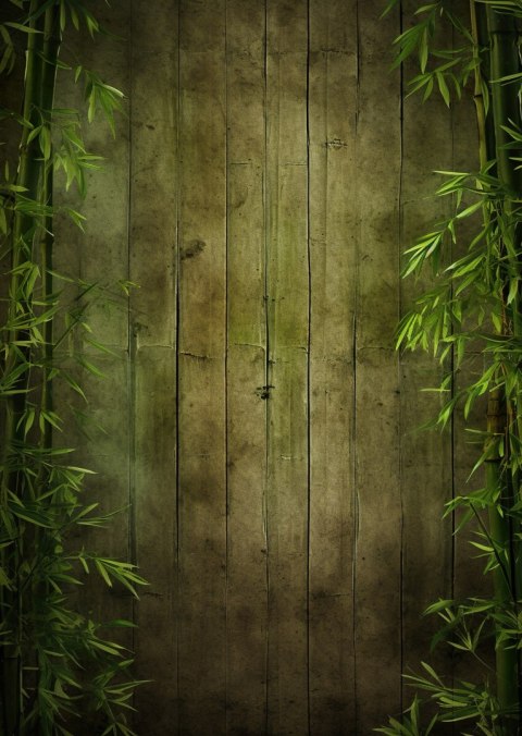 Plakat Liście Bambusa Na Ciemnym Drewnianym Płocie