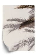 Plakat Liście Palmy Z Odbiciem Cieni Na Ścianie