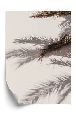Plakat Liście Palmy Z Odbiciem Cieni Na Ścianie