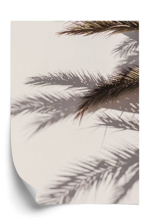 Plakat Liście Palmy Z Odbiciem Cieni Na Ścianie