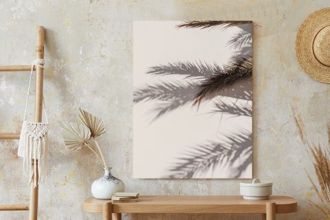 Plakat Liście Palmy Z Odbiciem Cieni Na Ścianie