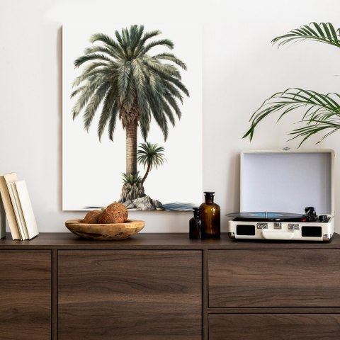 Plakat Palma Z Zieloną Gałązką