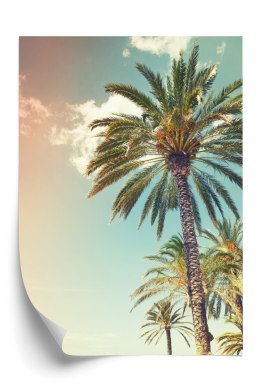 Plakat Palmy Na Tle Pochmurnego Nieba