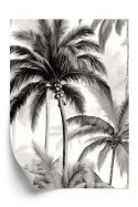 Plakat Palmy Z Owocami