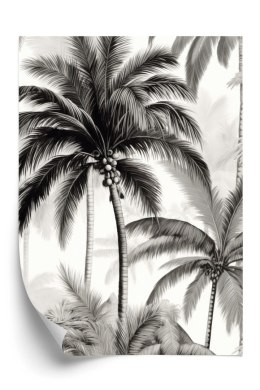 Plakat Palmy Z Owocami