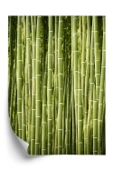 Plakat Płot Z Bambusa