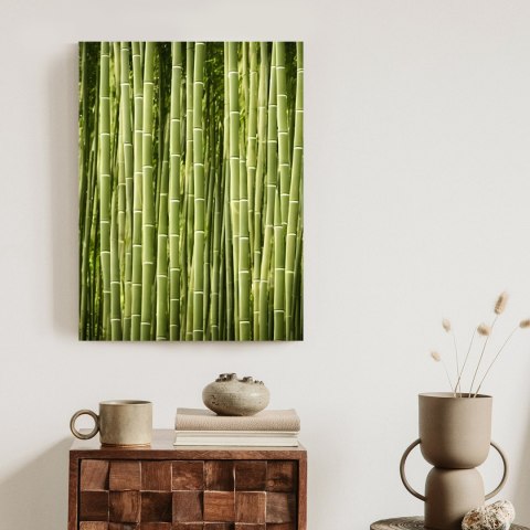 Plakat Płot Z Bambusa