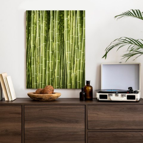 Plakat Płot Z Bambusa