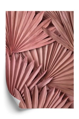 Plakat Różowe Palmowe Liście W Stylu Boho