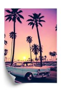 Plakat Samochód Retro Na Tle Wysokich Palm