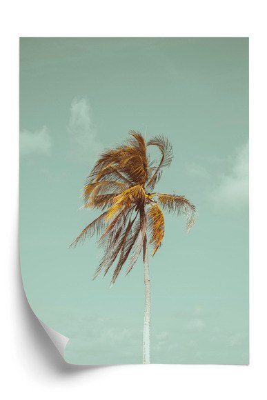 Plakat Samotna Palma