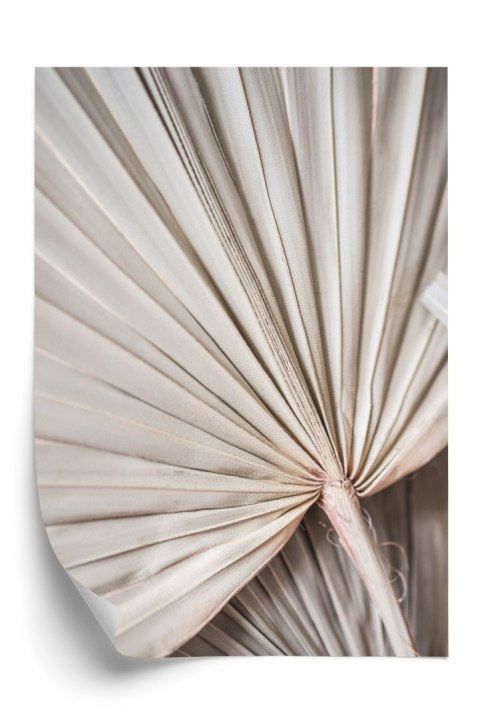 Plakat Suchy Liść Palmowy