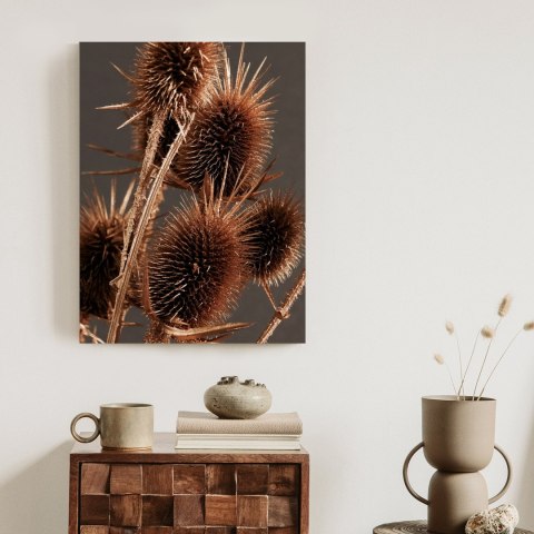 Plakat Suchy Łopian