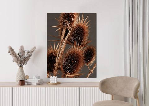 Plakat Suchy Łopian