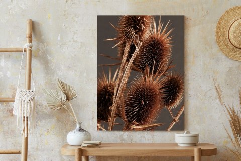 Plakat Suchy Łopian