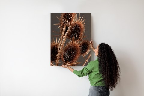 Plakat Suchy Łopian