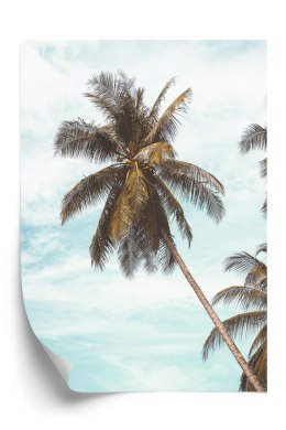 Plakat Tropikalna Palma I Niebieskie Niebo