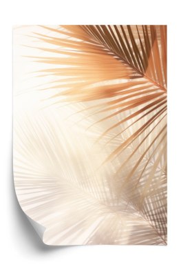 Plakat Tropikalne Liście Palmowe Z Cieniem