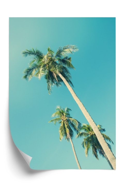 Plakat Tropikalne Tło Z Palmami W Świetle Słońca