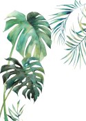 Plakat Tropikalny Wzór Z Liśćmi Palmy I Monstery Akwarela
