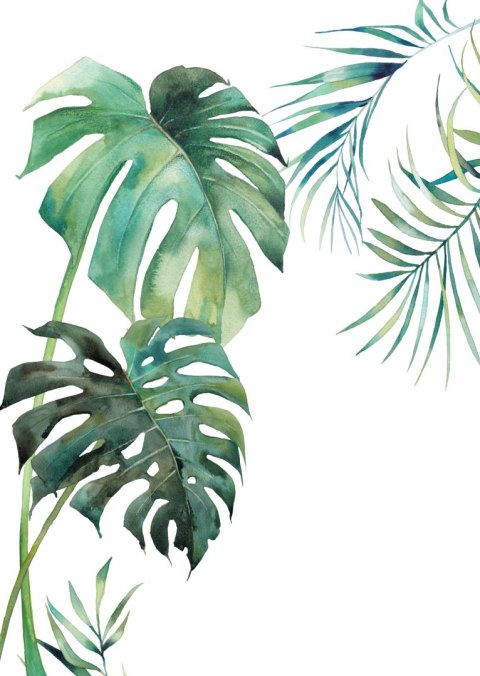 Plakat Tropikalny Wzór Z Liśćmi Palmy I Monstery Akwarela