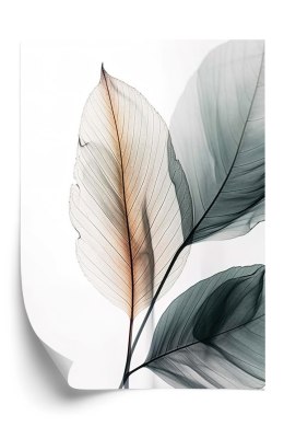 Plakat Trzy Liście Na Białym Tle