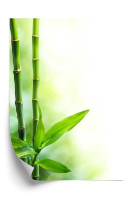 Plakat Wiele Łodyg Bambusa I Wiązki Światła