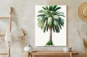 Plakat Wysokie Zielone Drzewo Palmowe