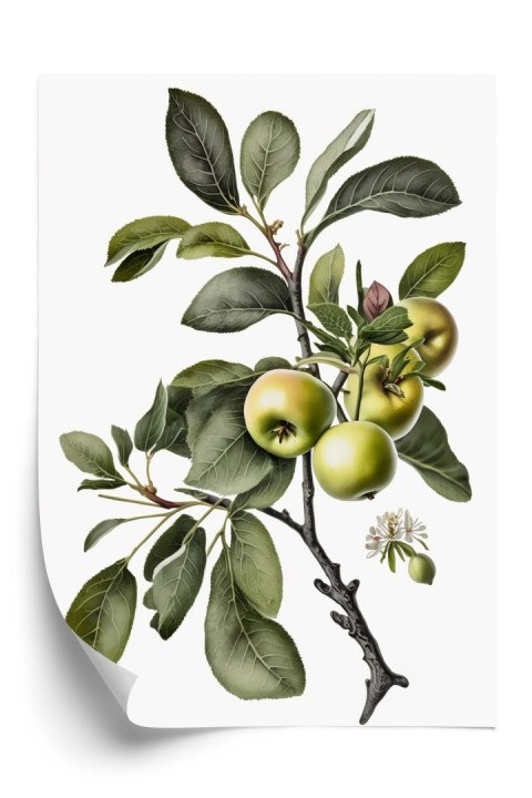 Plakat Zielona Gałązka Z Jabłkami