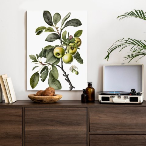 Plakat Zielona Gałązka Z Jabłkami