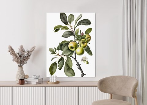 Plakat Zielona Gałązka Z Jabłkami