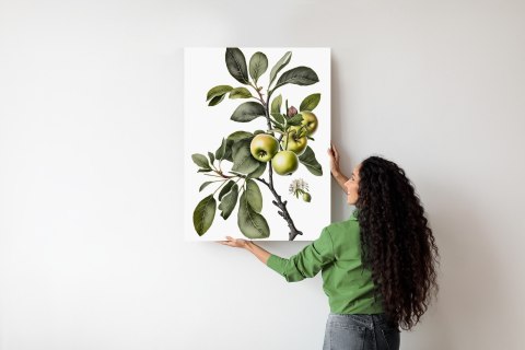 Plakat Zielona Gałązka Z Jabłkami