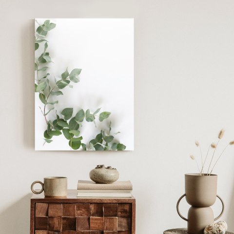 Plakat Zielone Liście Eukaliptusa