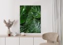 Plakat Zielone Liście Monstera I Palma