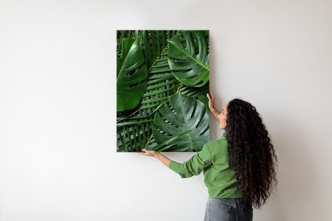 Plakat Zielone Liście Monstera I Palma