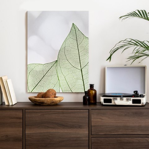 Plakat Zielone Transparentne Liście Na Jasnym Tle