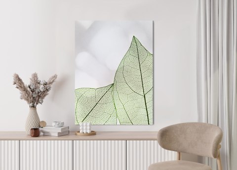 Plakat Zielone Transparentne Liście Na Jasnym Tle