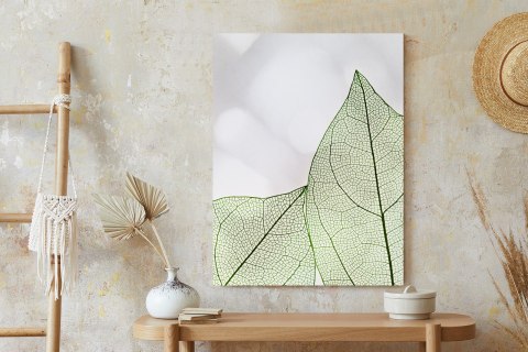 Plakat Zielone Transparentne Liście Na Jasnym Tle