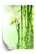 Plakat Zielony Bambus Przy Rzece