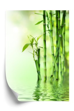 Plakat Zielony Bambus Przy Rzece