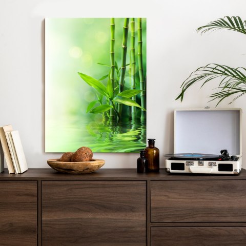 Plakat Zielony Bambus W Wodzie