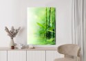 Plakat Zielony Bambus W Wodzie