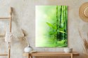 Plakat Zielony Bambus W Wodzie