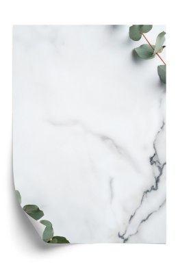 Plakat Zielony Liść Eukaliptusa Na Marmurze