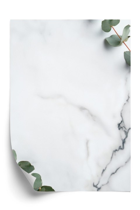 Plakat Zielony Liść Eukaliptusa Na Marmurze