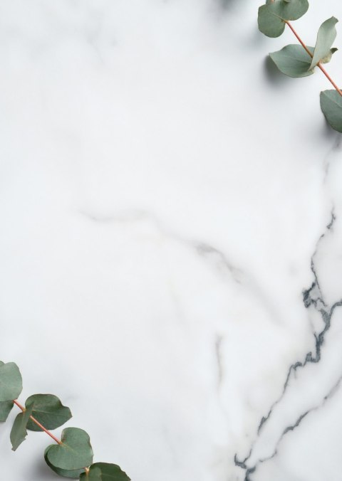 Plakat Zielony Liść Eukaliptusa Na Marmurze