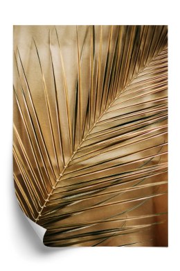 Plakat Złota Palma Liście