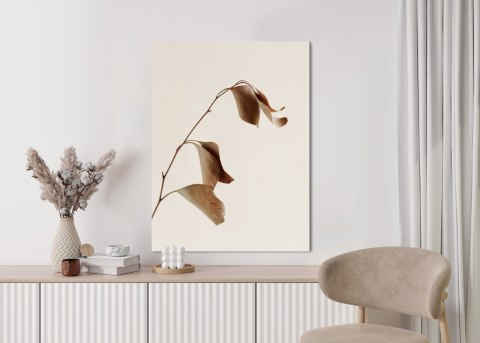 Plakat Beżowy Suchy Eukaliptus