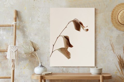 Plakat Beżowy Suchy Eukaliptus